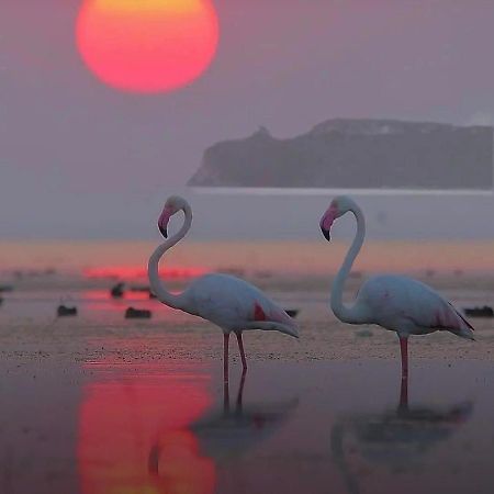 Suite Sardinia Holiday Кальярі Екстер'єр фото